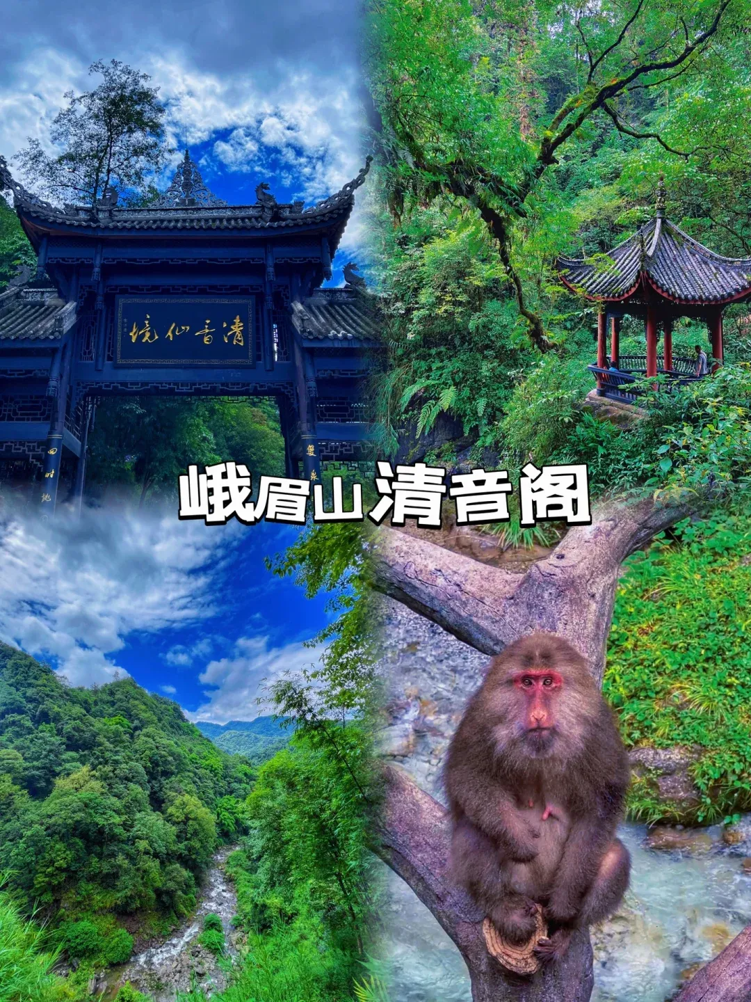 b34fe19009d28f4001b0642bc0c72807-sz_3975799
