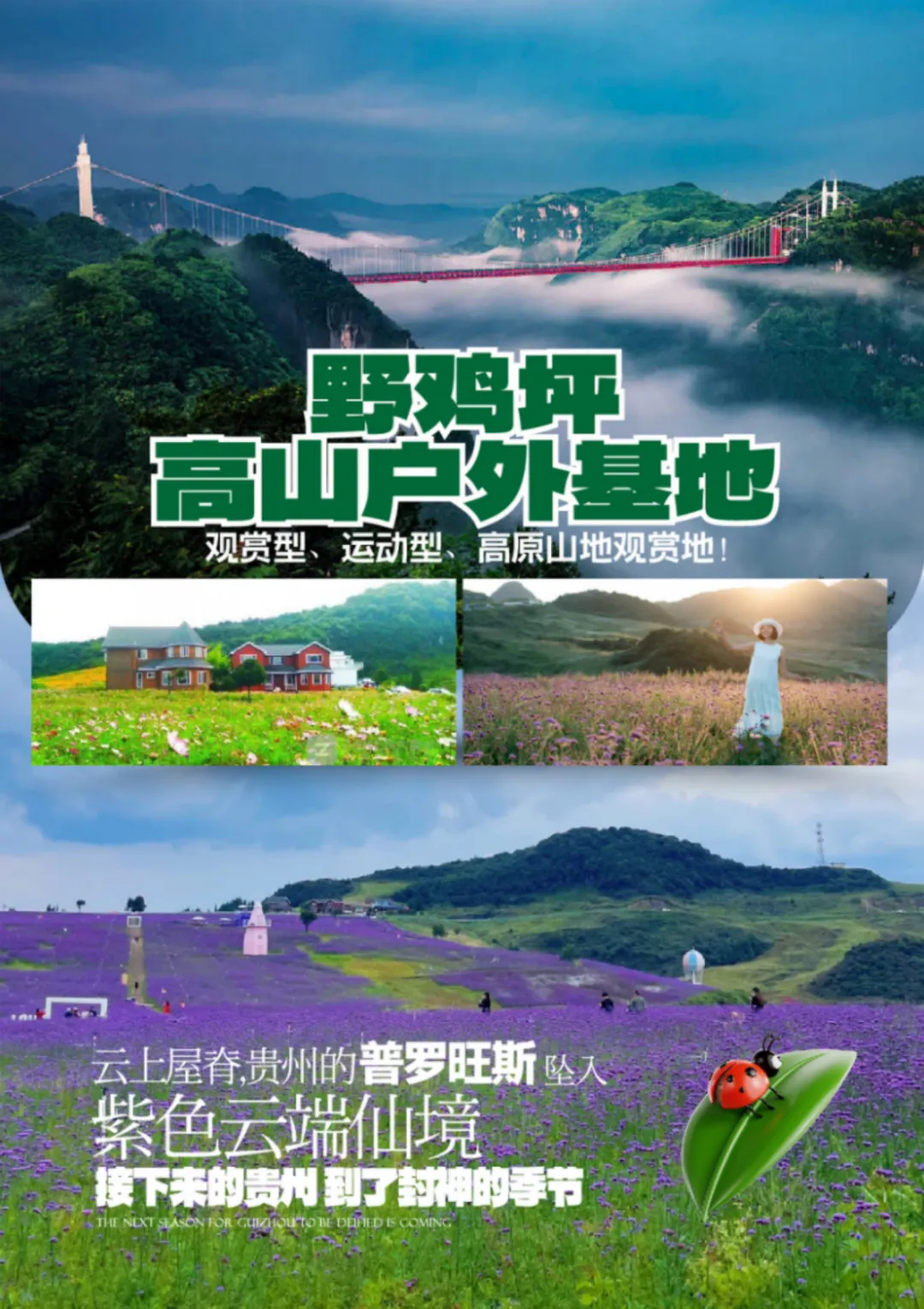 b3d7d0146a58d49273cb3c704c327e91-sz_3944460
