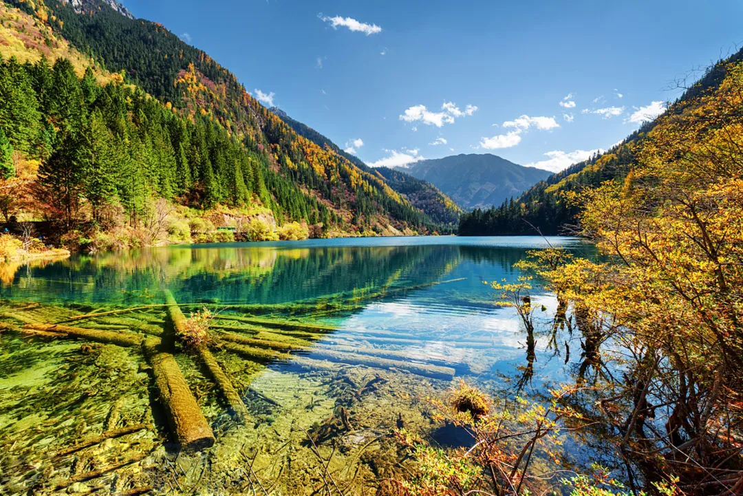 b4d51393049c63d23bb27fae84905b8a-sz_1578690-1