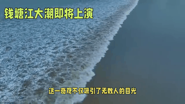 b816797371bfc0c892e4001a2c08dd0c-sz_6459564