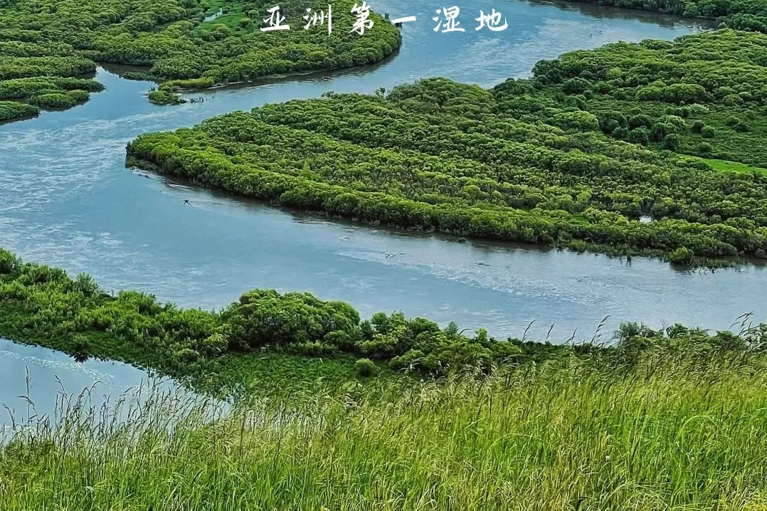 bd8860ee1594154d90c095637a68e21b-sz_1138970