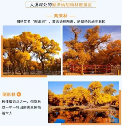 bf410c8d070a1226ae1ba49982e60d3c-sz_354032