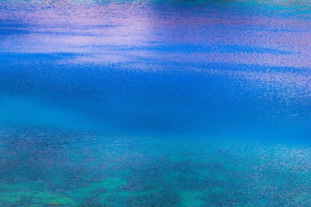 c0fa779299d742b8ab70f9e3849d5c54-sz_145858