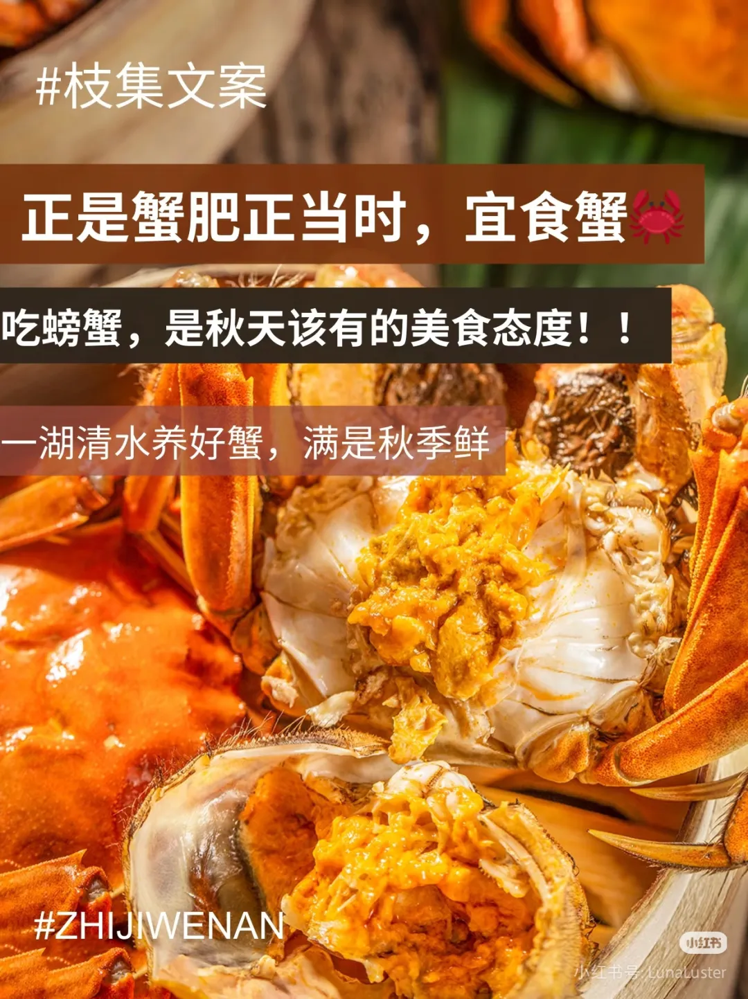 【吃蟹了299纯玩❤️100只闸蟹尝鲜❤️400多万株菊花❤️赏万株花海齐开】兴化品牌连锁酒店❤️顿顿吃河鲜❤️出门到景区❤️赏花度假四日游