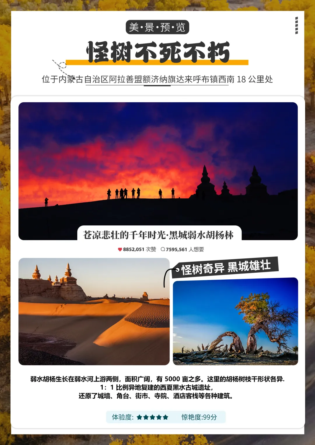 c7e7a999bc36907f06ed7d5746cf740a-sz_1405662