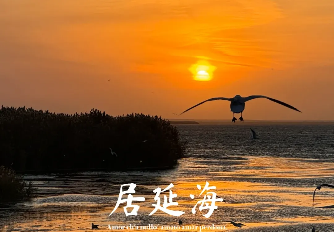 c7f8a9431f209f28c15cbde7ab6d0f73-sz_2678157