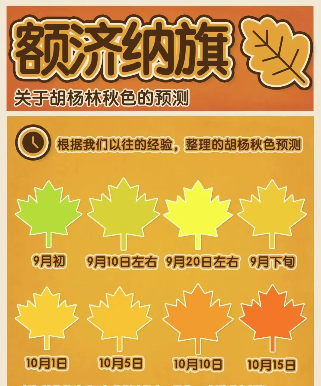 cbe9aef05bf0c642e9c2956c6782180e-sz_184265