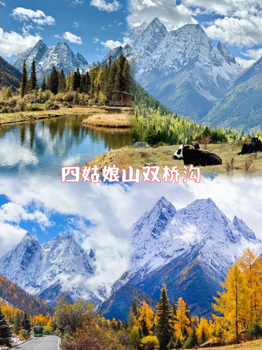 cdf50268f66a4d0ee53b4a41153d9c9d-sz_3688425
