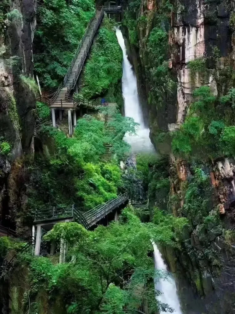 d09e373e064a512dc307965d104b1d92-sz_404033