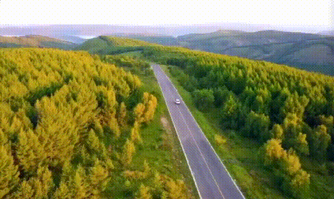 d4571589f5d043de4e33910501b557cd-sz_2009745