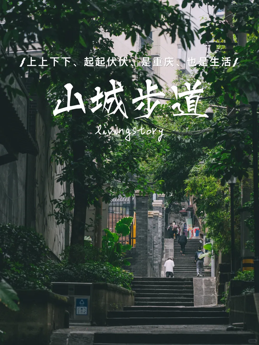 d8ea0fc2ad724b897d9a0cf32ecf4766-sz_2722977