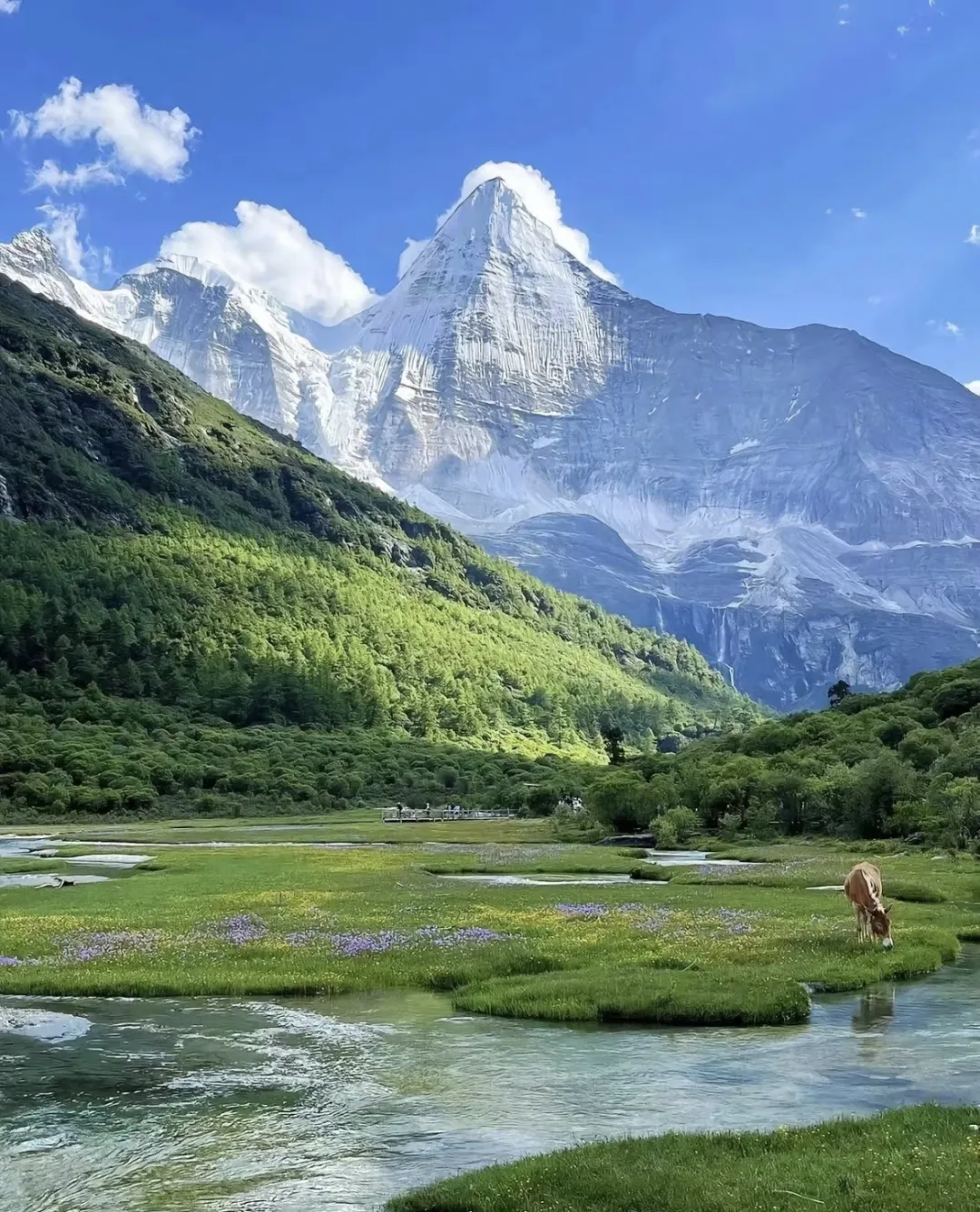 穿越云端☁解锁川西绝美秘境‼探寻斯格拉与洛克的足迹👣双飞7日【独家】赠亚丁VIP快速通道⭐2-8人纯玩团
