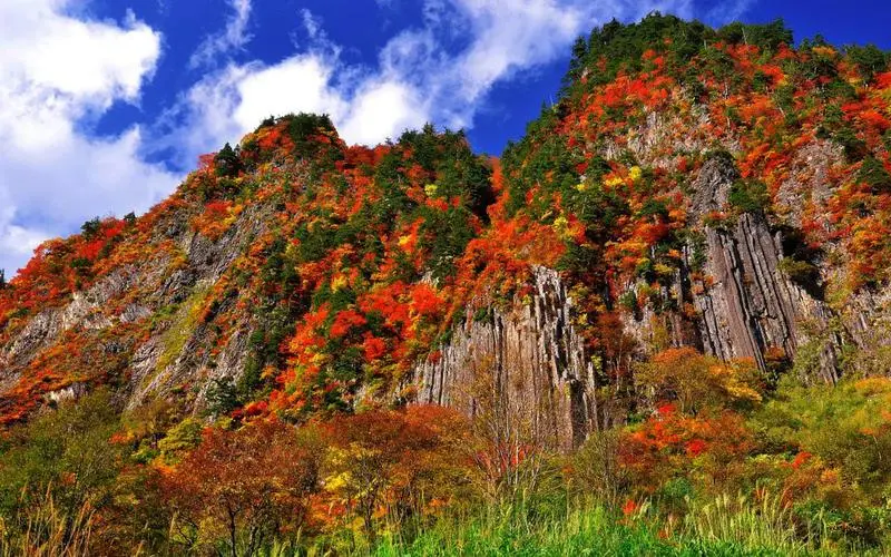 【传奇光雾山❀自组 班】2580元纯玩团❀全程网评四钻酒店❀米仓山-明月峡-阆中古城-剑门关-皇泽寺-千佛崖-兴汉胜景
