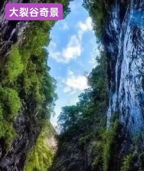 dce73526cf0028c775b01bb94c451d99-sz_719627