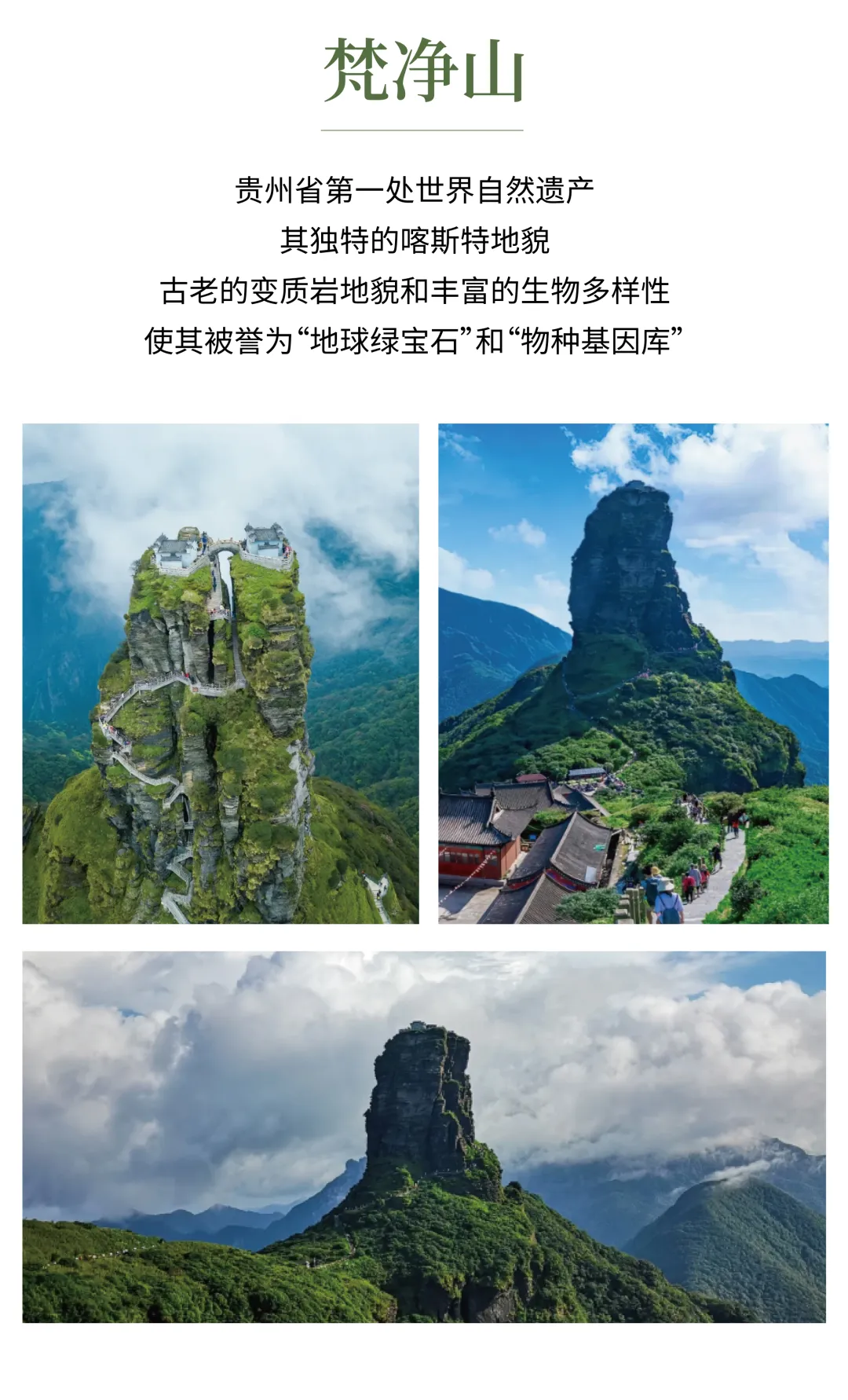 df636db63c1db068c9bf20195f22107d-sz_2997741