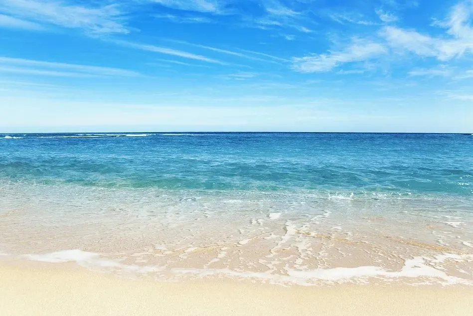 e27a0ca2d6bc3e47f0af5243ddc736f5-sz_95018 e27a0ca2d6bc3e47f0af5243ddc736f5-sz_95018