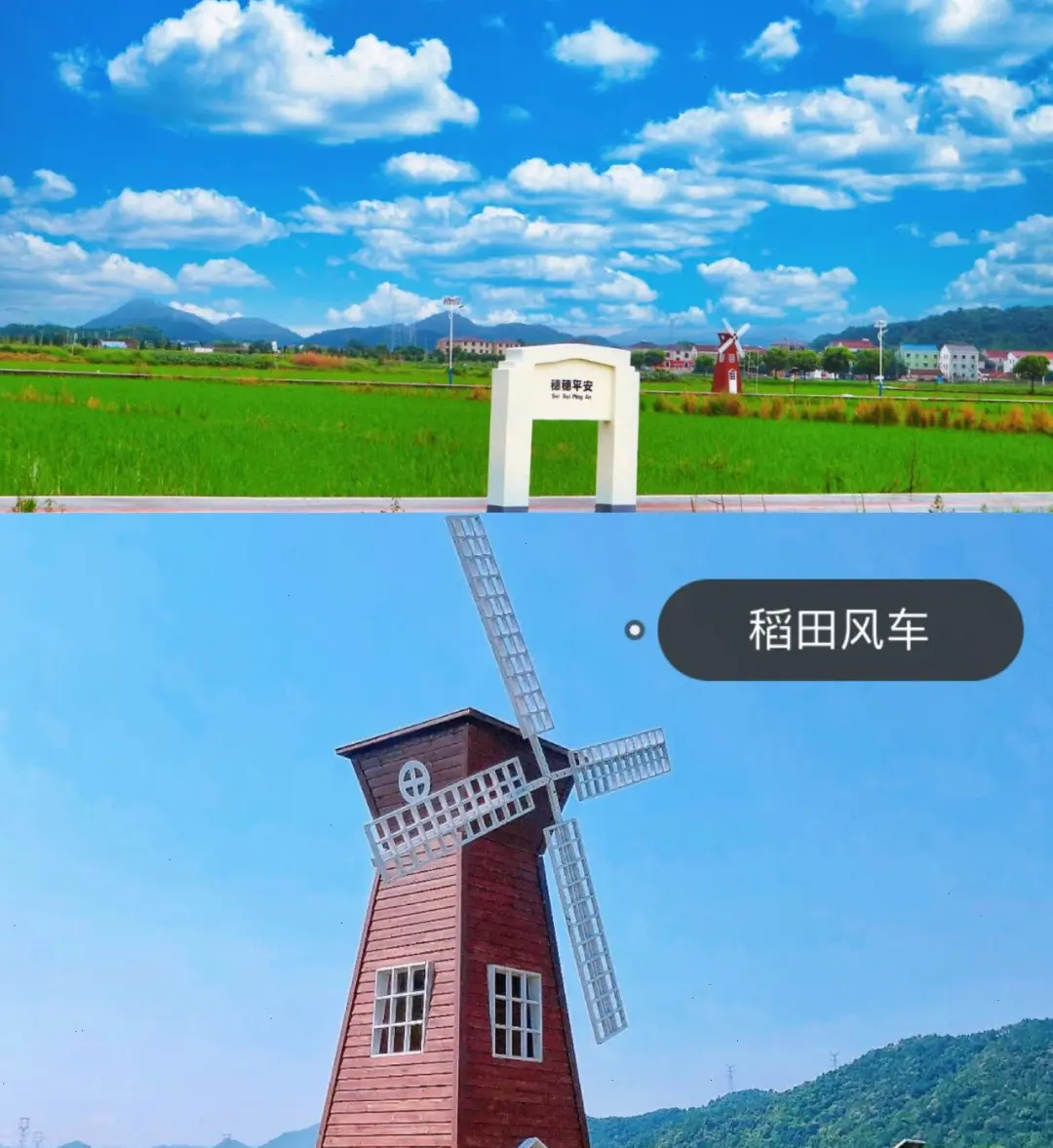 e6be2f780b46c04c1531d4281e7c8c47-sz_251429