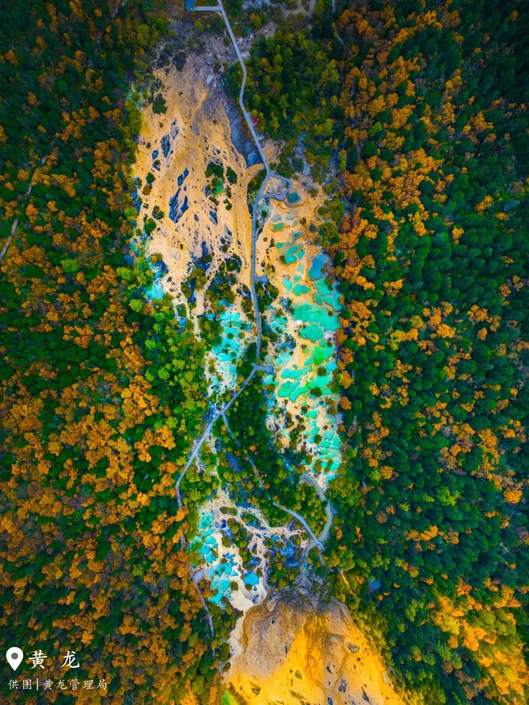 e86606c2f8a3099c529be058a8861463-sz_628189