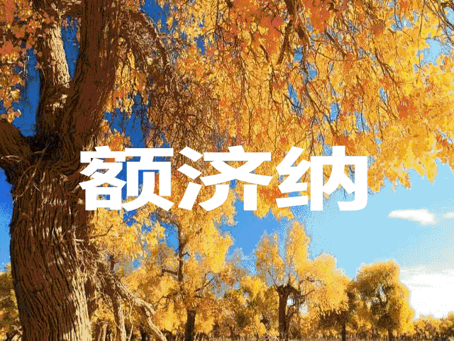 ‼️黄金时段10月15号仅此一班额济纳旗双胡杨专列‼️醉美21天‼️纯玩无购物零自费！专列直达额济纳+大漠胡杨林+通湖草原+沙坡头+崆峒山11日游