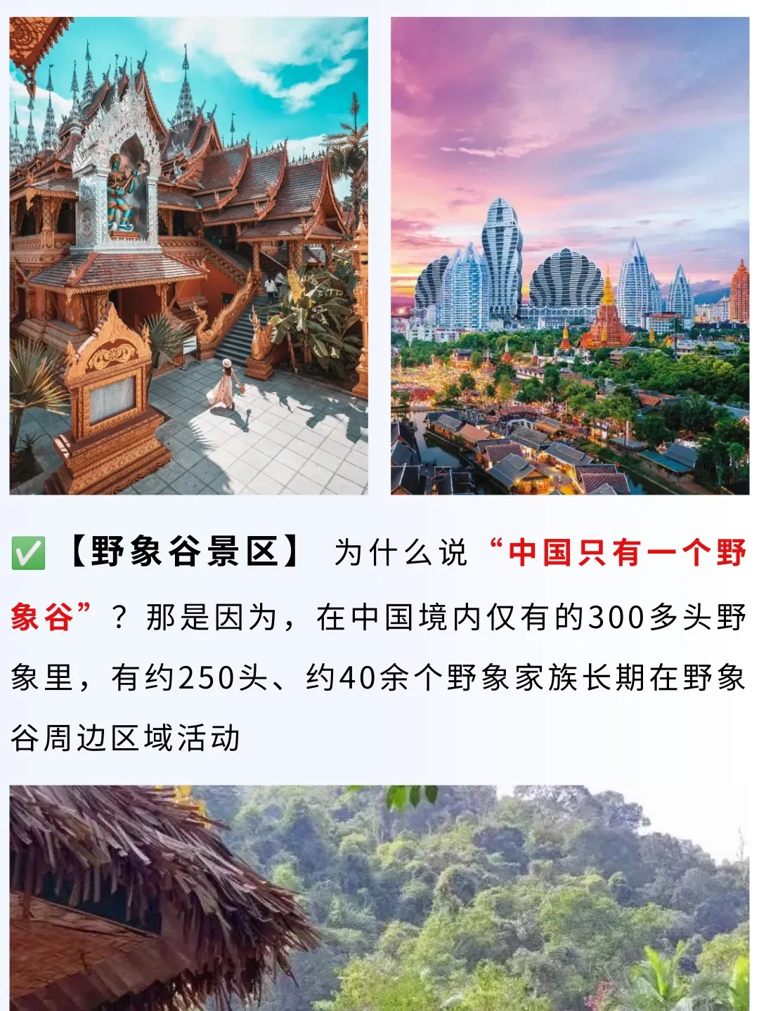 eab9418a34c4f862423d247f5a92bf24-sz_403974