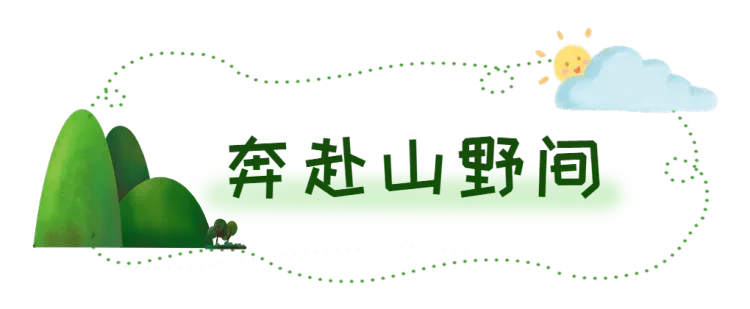 ebedaa274e803e0b1e32961cbc290a1f-sz_190212