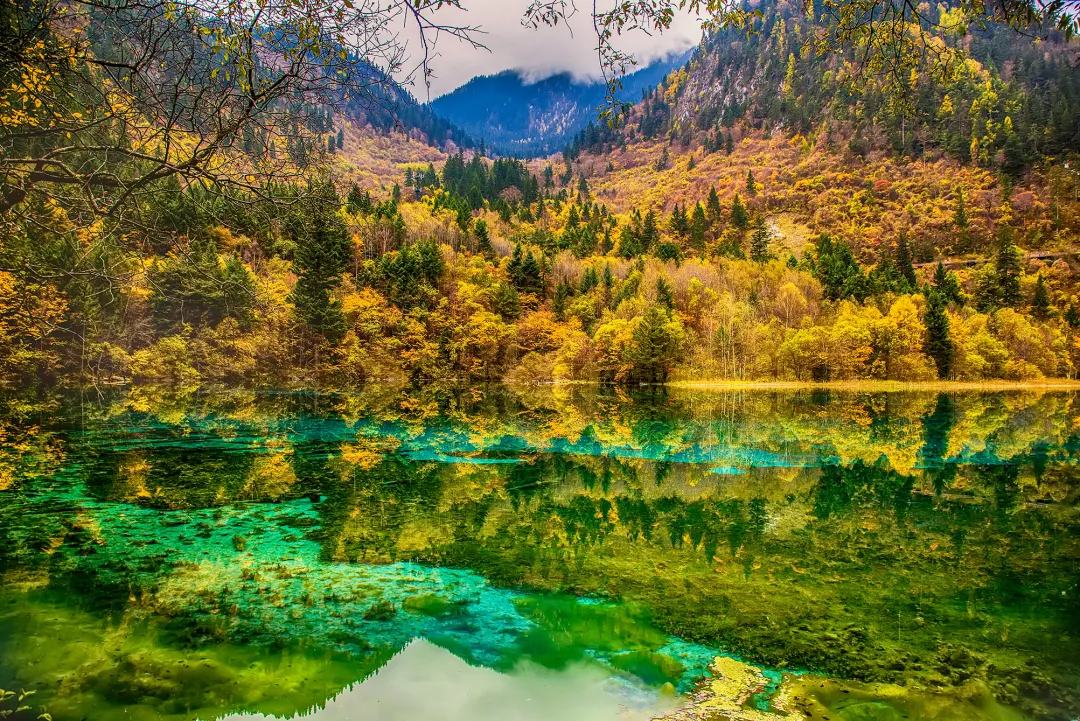 ee07590a5b23df6ebbe06816f80b3079-sz_1805946-1