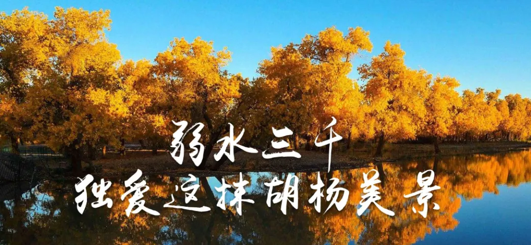 ee54e6f7c63b56ec6784ea868cb4b9ea-sz_1677165