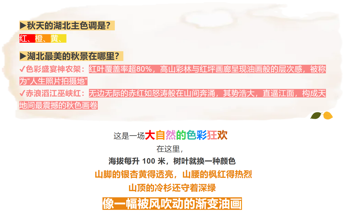 ef05c66eb63a7021c47094590ca98545