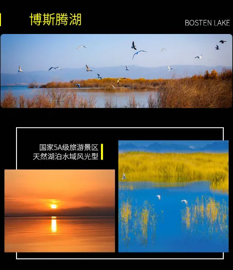 fc4f91978857857c66f9fb05480059ff-sz_313134
