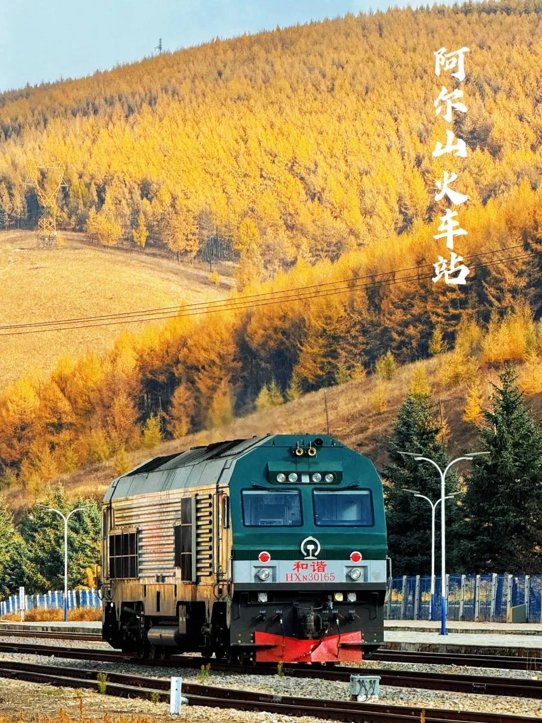 fe51bb018a44510260697e5e9d621404-sz_667206