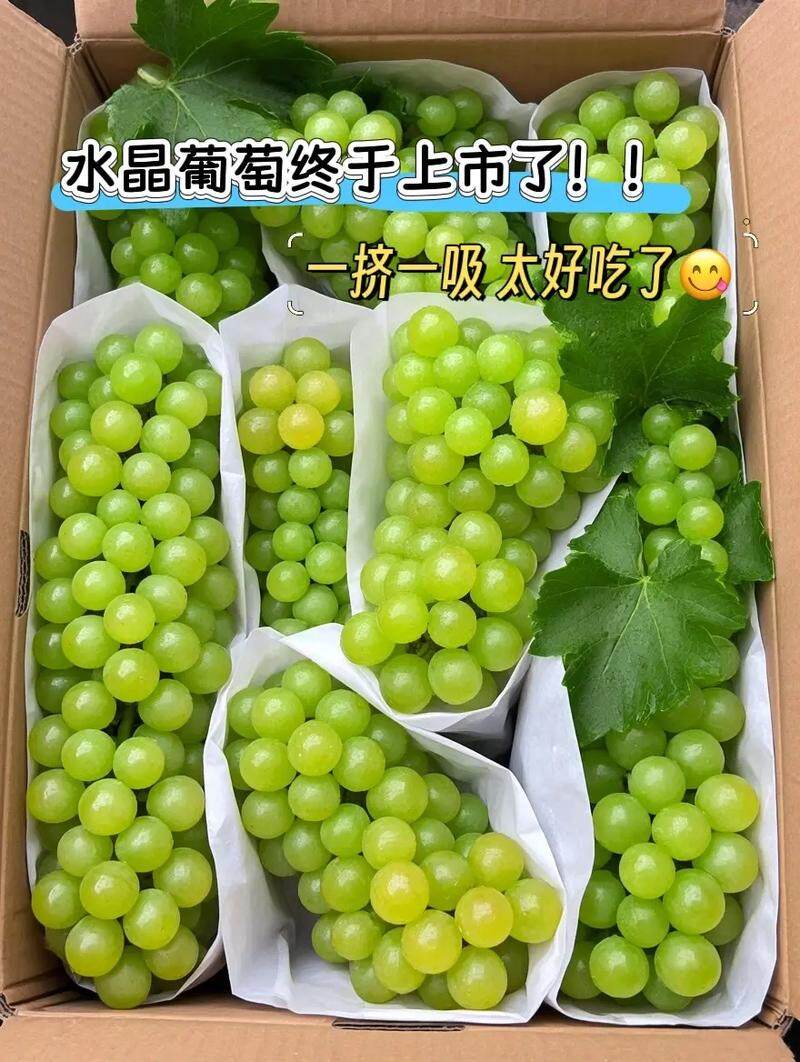 ff15c068df53bae2c9481e7dd468f728-sz_144891 ff15c068df53bae2c9481e7dd468f728-sz_144891
