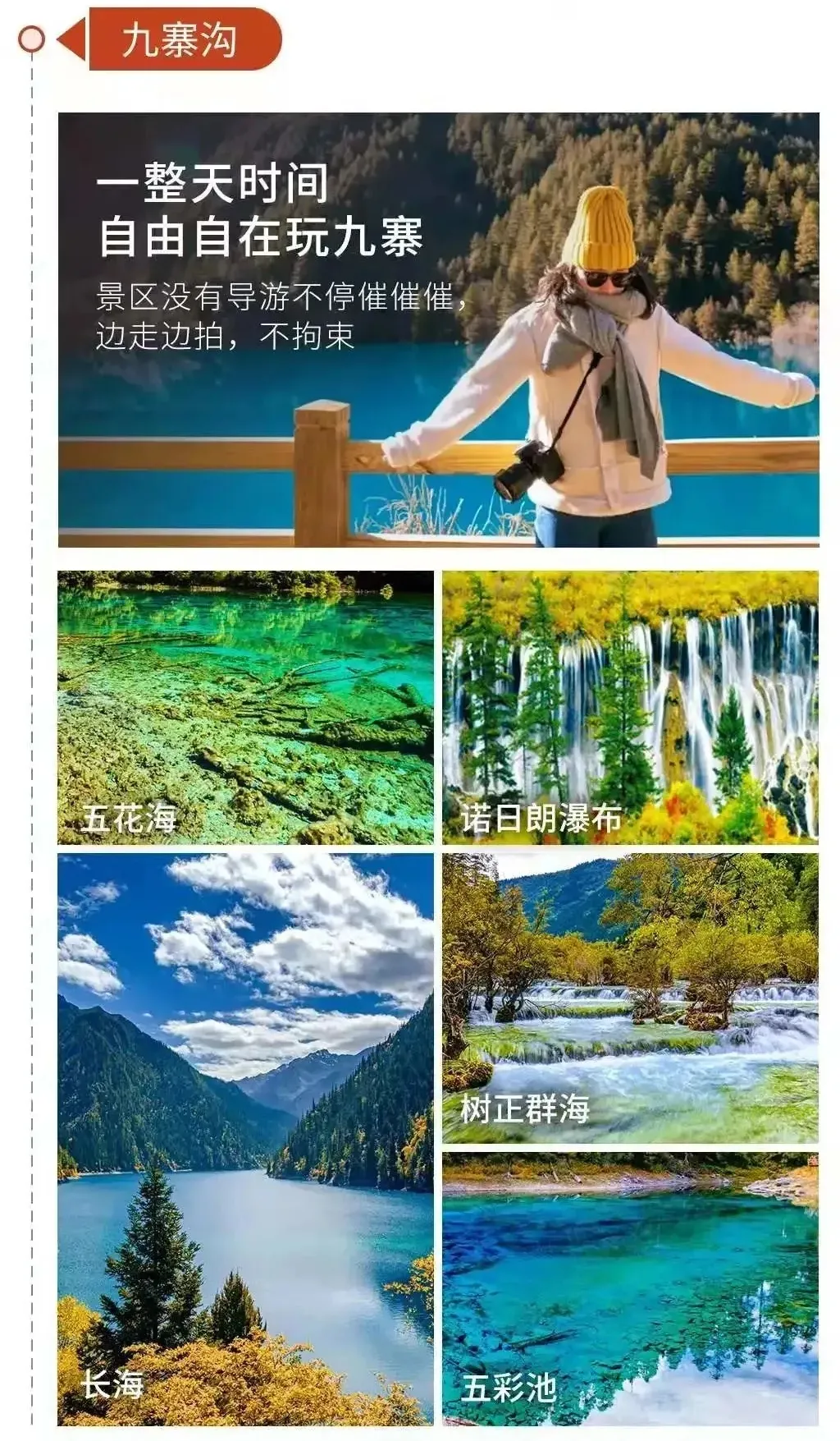 ff48e2fdd7c189c7896fe1e6a8e2851a-sz_1202695-1