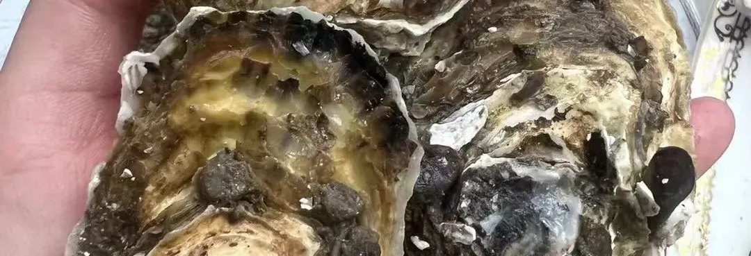 phevsHpXVQLHPASC
