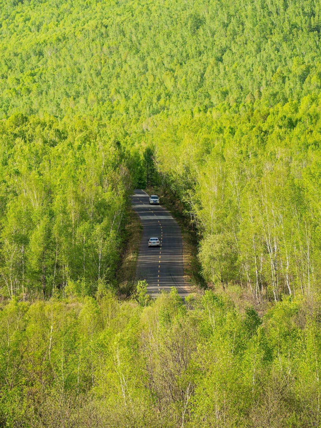 qCRyXleIhJieKAtI