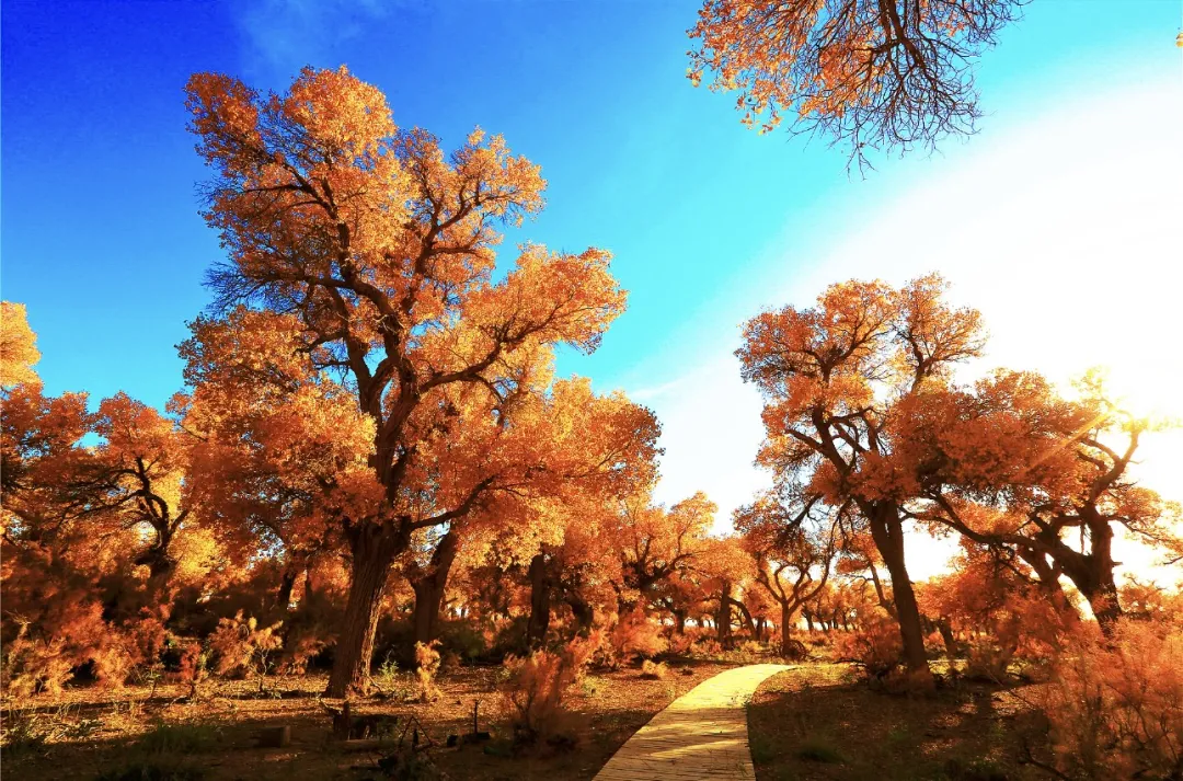 02fb8e9d2fd5485f67e1cdf02fca72a8-sz_548312 02fb8e9d2fd5485f67e1cdf02fca72a8-sz_548312