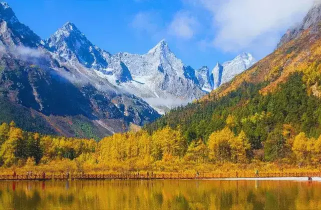 050ce852f2ce65e183db44fd7f1ed7d2-sz_60527 050ce852f2ce65e183db44fd7f1ed7d2-sz_60527