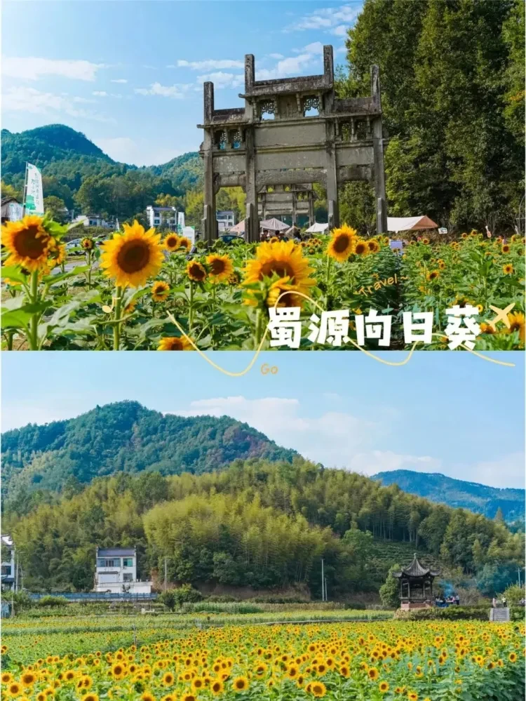 0580ccc276b0c7d1fc126b6e3d9fa86d-sz_343212