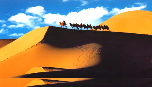 08831c294a06ebb8131ba329c8b1519c-sz_135890-3 08831c294a06ebb8131ba329c8b1519c-sz_135890-3