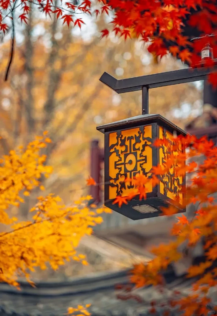 09c07ec8163fddd83cded14518f471fe-sz_3591366