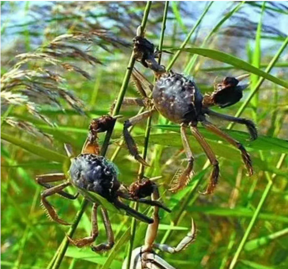 09eed9a931408522b5061d2d7278f1c3 09eed9a931408522b5061d2d7278f1c3