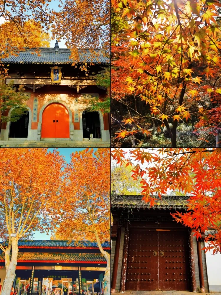 0ae7bf3ef4ec056ad564bf7d3f26f8d7-sz_4095651