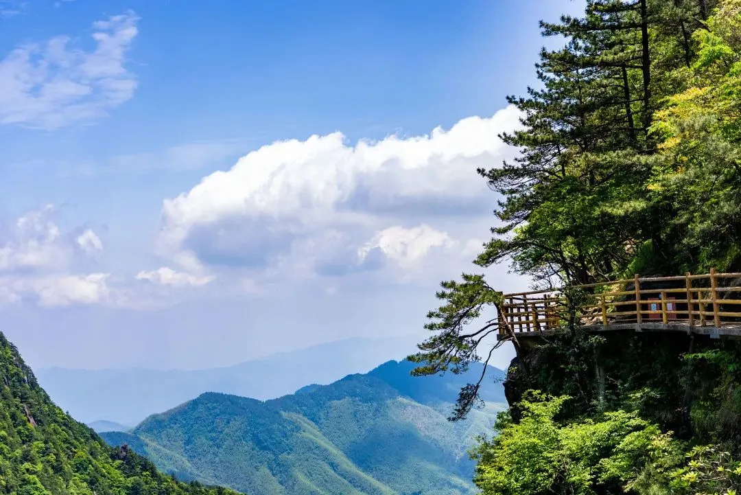 【2人即发★华东第一温泉】998元纯玩七日 四晚连住温汤镇挂牌四星酒店 4早8正全程自助餐 每间客房配备浴缸 24小时泡温泉