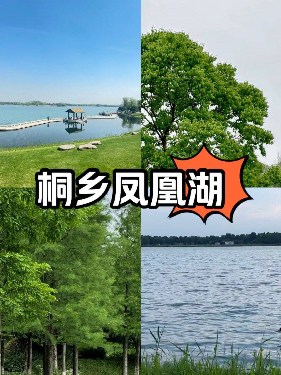 0f1340060e2562842110f08353ee56a2-sz_304546 0f1340060e2562842110f08353ee56a2-sz_304546