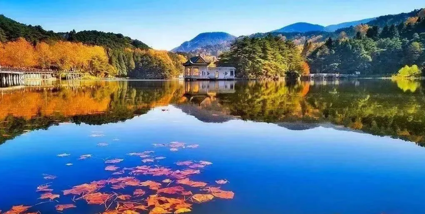 0f9eb501cb2395b5f6fa90dd794087f3 0f9eb501cb2395b5f6fa90dd794087f3