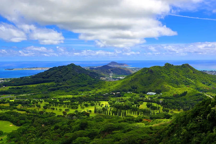 11633572b6ac1b7ecd5ffeaaf42b6917-sz_618947