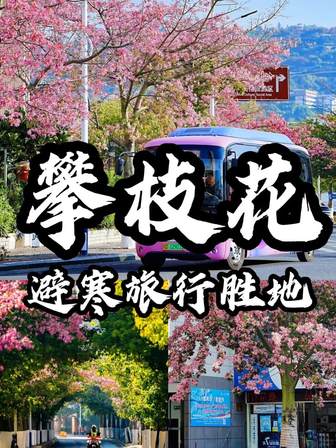 12022b3d4c1b2a59facf7fa76efba96e-sz_2908169 12022b3d4c1b2a59facf7fa76efba96e-sz_2908169