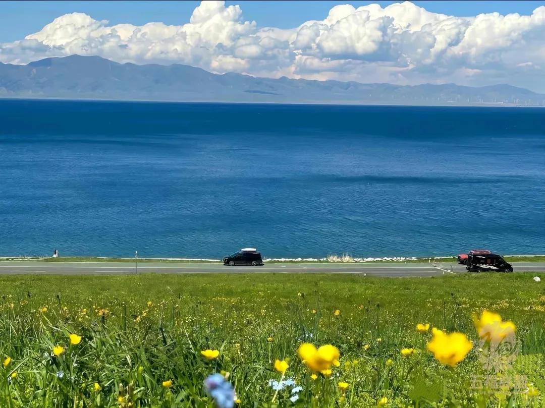 1326bab7f375306bf6ea1b14772c9e9a-sz_538098