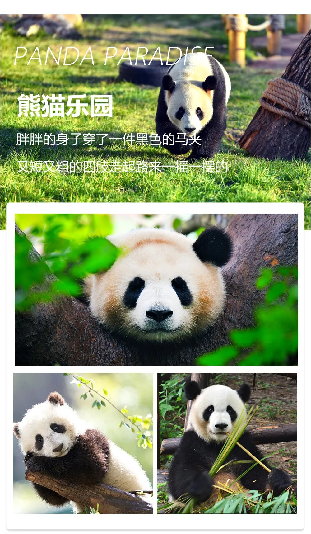 150b5e2aa9de7f27d7674baa1bd6cfac-sz_406629 150b5e2aa9de7f27d7674baa1bd6cfac-sz_406629