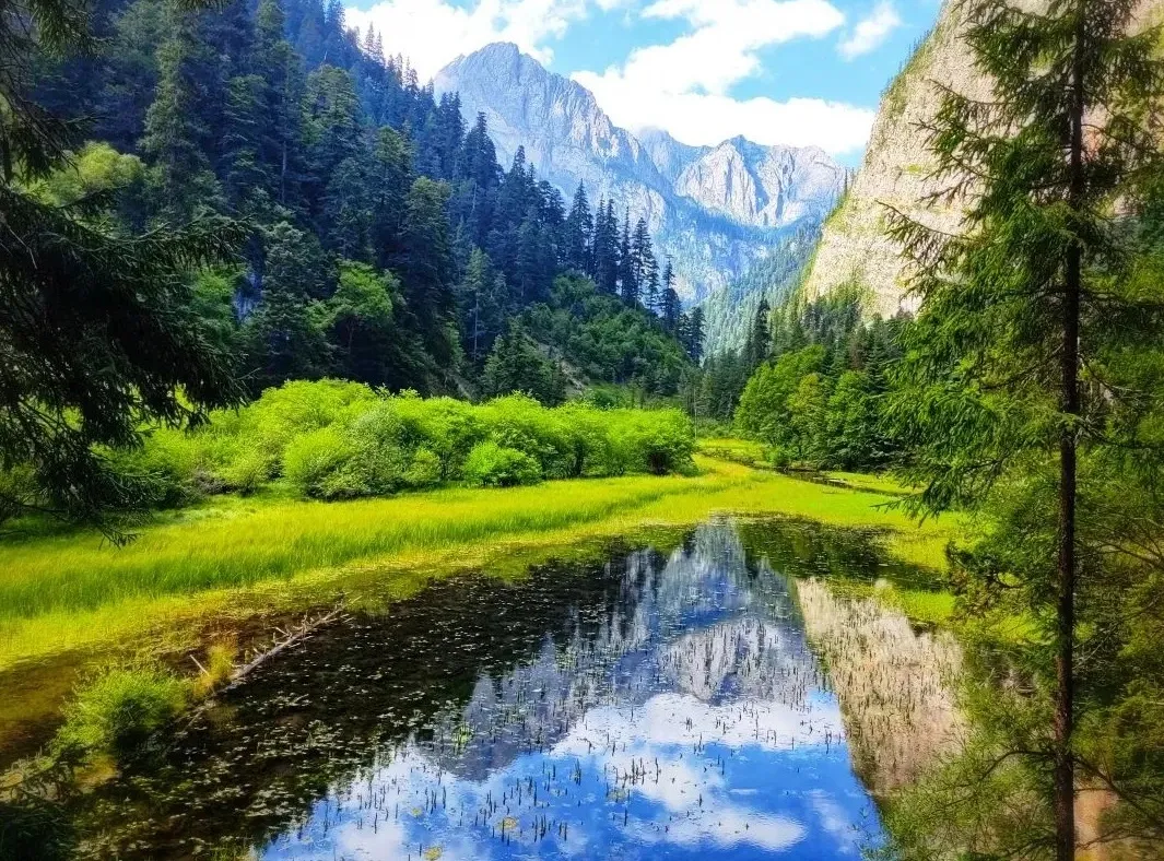 151628499546aa0c79c40eab9fa50c86-sz_484300