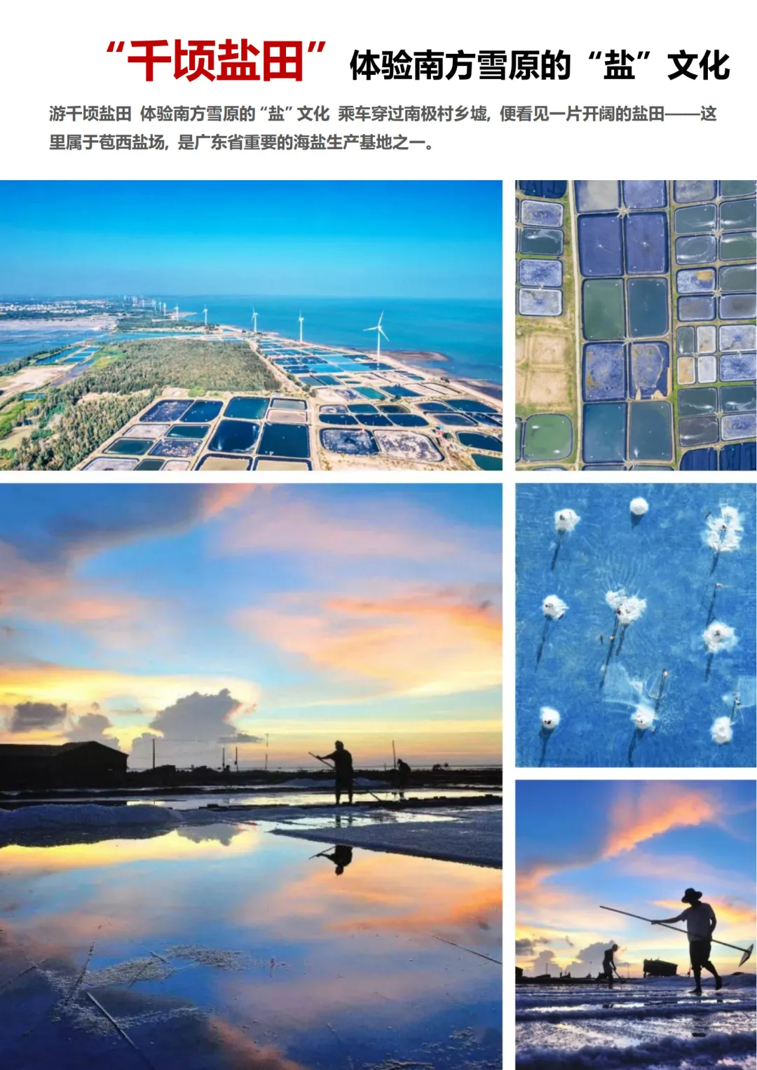 158820b0d6cf20d8af1ea22547095fda-sz_768305 158820b0d6cf20d8af1ea22547095fda-sz_768305